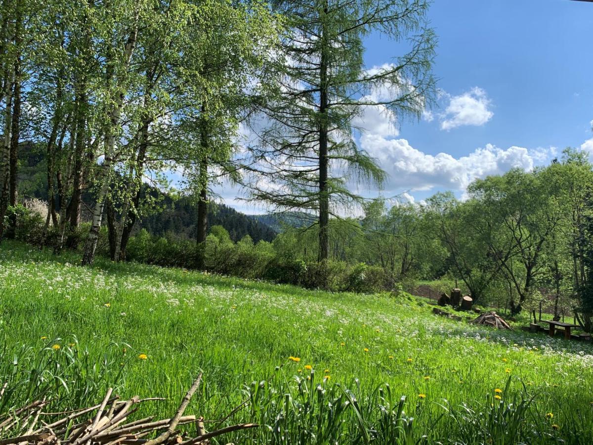 Tylko Tu Bieszczady, Balia, Sauna Baligród Exterior foto